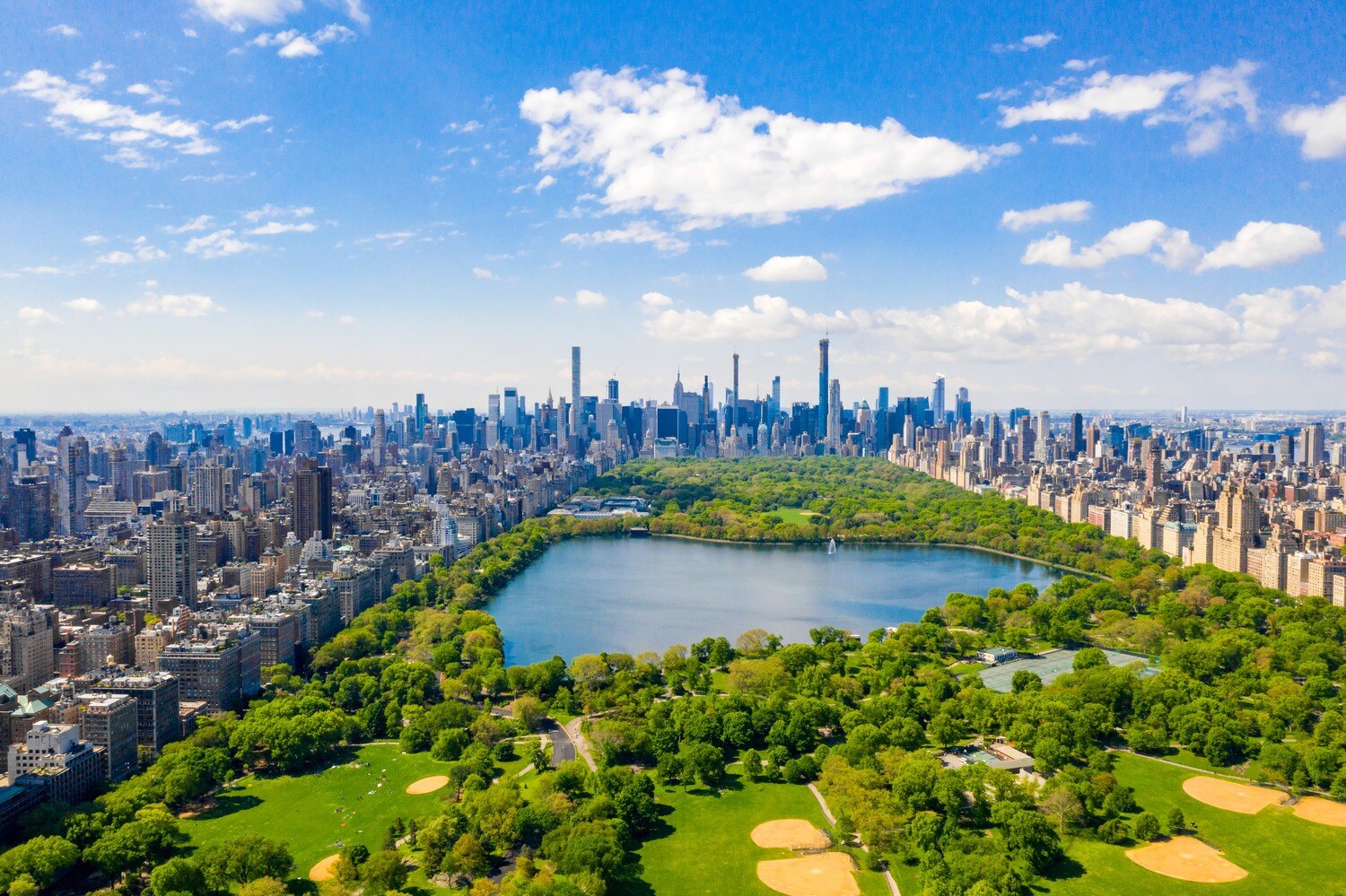 Central Park - image credit shutterstock Pandora Pictures