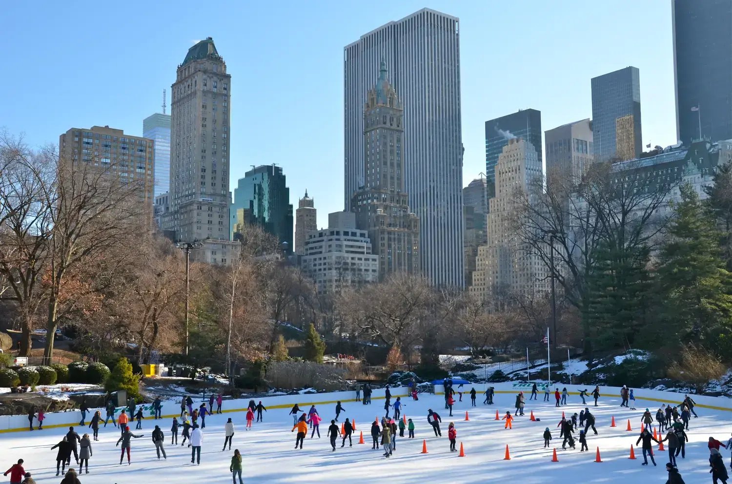 Central Park - Image by Victoria Lipov / Shutterstock.com