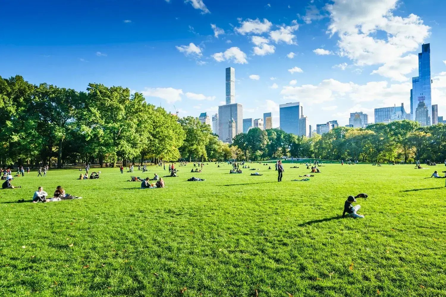 Hotel near Central Park Zoo - Image by Pabkov / Shutterstock.com